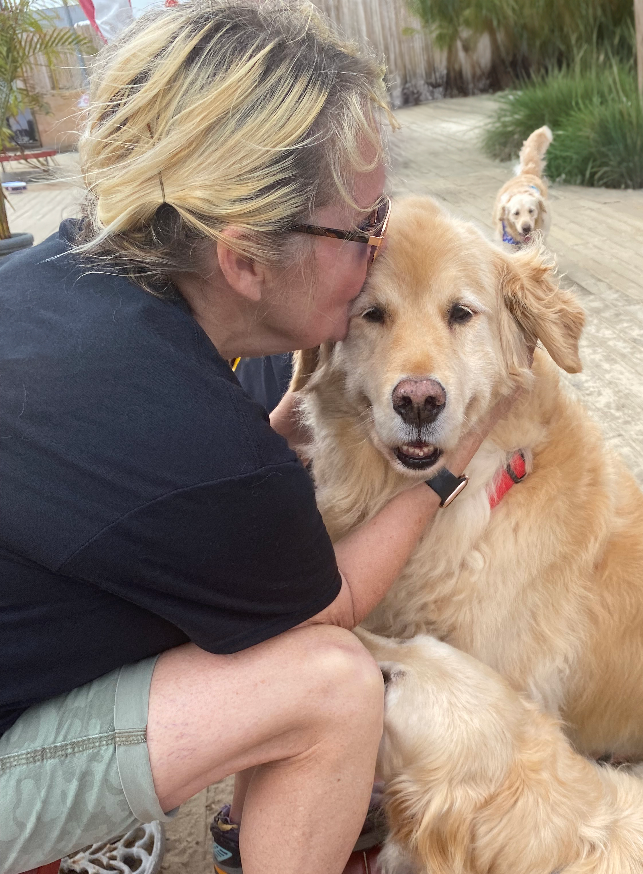 Anne and her Golden Retrievers.